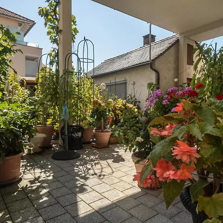 Gruene Oase * Friedrichshafen