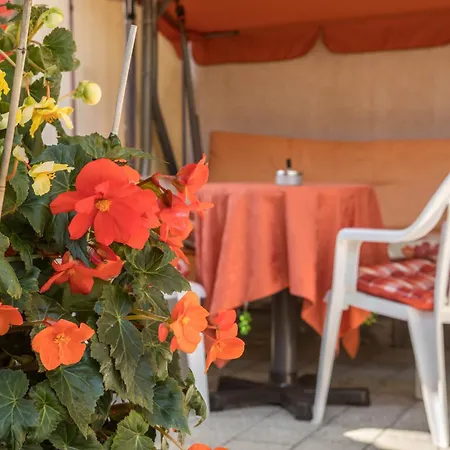 Grüne Oase Apartamento Friedrichshafen